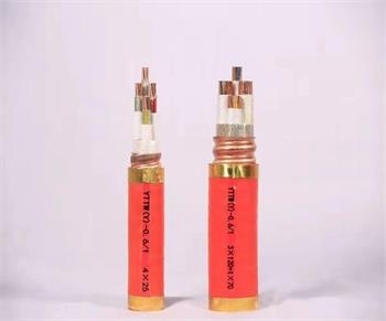 阿拉善盟YTTW 0.6/1kV 516